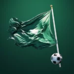 Фотография зеленого футбольного флага